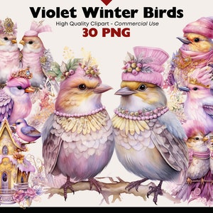 Vintage Winter Birds Clipart Bundle, Fantasy Birds Watercolor, Couple Birds PNG, Christmas Birds Graphics, Whimsical Violet Bird Digitals