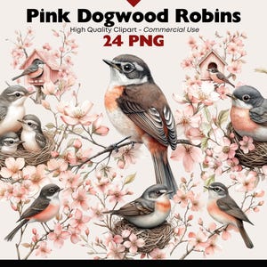 Pink Dogwood Robin Clipart Bundle Watercolor Whimsical Bird PNG Spring Wildlife Graphics Digital Download Forest Watercolor Paper Crafts