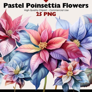 Pastel kerstster clipartbundel, aquarel kerstbloemen png, enkele bloemen elementen graphics set, kerstster uitsparingen, plakboekafbeelding