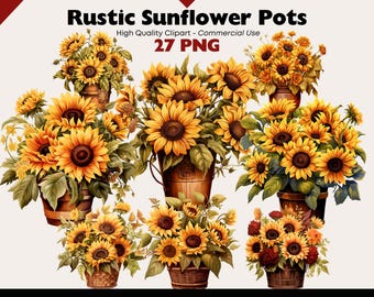 Op de afbeelding: Waterverfillustratie van verschillende rustieke zonnebloempotten. De afbeelding toont verschillende arrangementen van zonnebloemen in houten en rieten containers. De tekst "Rustic Sunflower Pots" en "27 PNG" zijn zichtbaar.