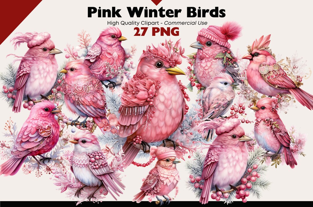 Pink Winter Birds Clipart Bundle, Fantasy Birds Watercolor, Christmas
