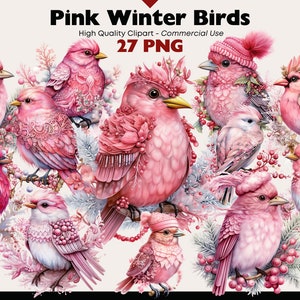 Pacote de clipart de pássaros rosa, aquarela de pássaros de fantasia, pássaros de Natal PNG, gráficos de pássaros caprichosos, pássaro de chapéu de Papai Noel, passarinho fofo PNG