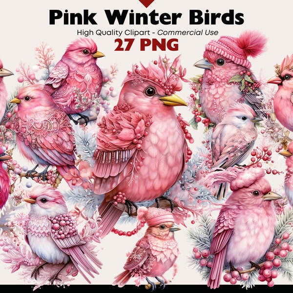 Pink Birds Clipart Bundle, Fantasy Birds Watercolor, Christmas Birds PNG, Whimsical Birds Graphics, Santas Hat Bird, Cute Birdie PNG