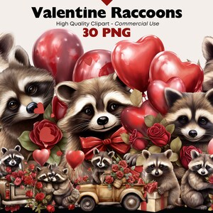 Valentine Racoons Clipart Bundle, Watercolor Romantic Raccoon PNG Illustrations, February 14th Raccoon Graphics, Valentines Day PNG Clip Art