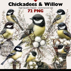 Bundle de cliparts oiseau mésange aquarelle oiseaux d'hiver et branches de saule PNG, graphismes Nature rustique pour cartes, scrapbooking, journal indésirable