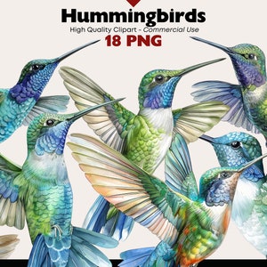 Può includere: Un'illustrazione digitale di 6 colibrì con piume vibranti di colore verde, blu e bianco. I colibrì volano in diverse direzioni con le ali spiegate. Lo sfondo è di colore grigio chiaro.