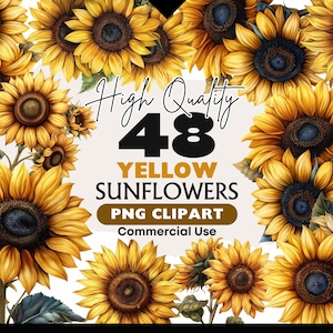 Bundle de cliparts tournesol, aquarelle tournesols PNG, graphiques botaniques, Images de fleurs d'automne, tournesol en téléchargement numérique pour usage Commercial