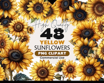 Sunflower Clipart Bundle, Watercolor Sunflowers PNG, Botanical Graphics, Autumn Flower Images, Sunflower Digital Download Commercial Use