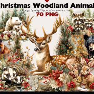 Bundle de cliparts animaux de la forêt de Noël Graphismes d'hiver traditionnels en téléchargement numérique Clipart aquarelle de Noël mignon vacances Noël Png