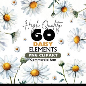 White Daisy Clipart Bundle Chamomile Digital Download PNG Wildflower Elements Graphics Commercial Use Watercolor Papercrafts Scrapbooking