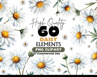 White Daisy Clipart Bundle Chamomile Digital Download PNG Wildflower Elements Graphics Commercial Use Watercolor Papercrafts Scrapbooking