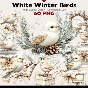 Pacote de clipart de pássaro branco de inverno, aquarela de pássaro de Natal, dois pássaros em galhos nevados, gráficos PNG, download digital de cardeal, artesanato em papel