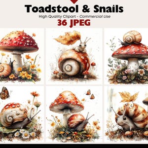 Op de afbeelding: Een set van 36 digitale illustraties met paddenstoelen en slakken. De illustraties zijn in aquarelstijl en bevatten een verscheidenheid aan kleuren, waaronder rood, groen, bruin en geel. De illustraties zijn perfect voor gebruik in scrapbooking, kaartmaken en andere knutselprojecten.
