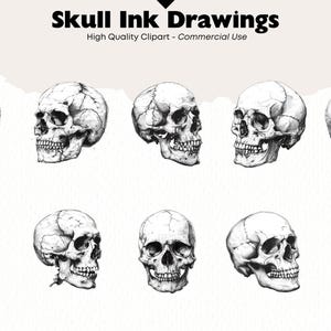 Skull Ink Drawing Clipart Bundle Watercolor Tattoo Skeleton PNG Human ...
