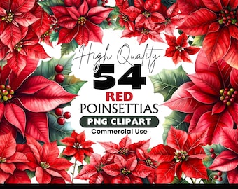 Red Poinsettia PNG Clipart Bundle Holiday Flowers Watercolor Floral Graphics Winter Wedding Clip art Christmas Bouquet Digital Download