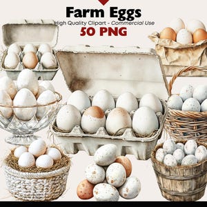Paquete de imágenes prediseñadas de huevos de granja, huevos de gallina de granja, descarga digital, PNG, cesta de huevos, gráficos, uso comercial, acuarela, manualidades de papel, álbumes de recortes