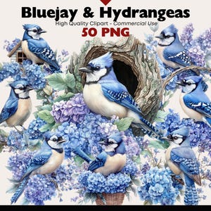 May include: A digital illustration of blue jays perched on branches of hydrangeas. The birds are blue and white with black markings. The hydrangeas are blue and purple. The background is white.