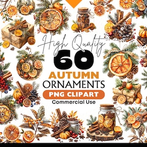 Pacote de clipart de ornamentos de outono Decorações de outono Aquarela Laranja seca Gráficos Download digital Elementos florais de outono Ação de Graças