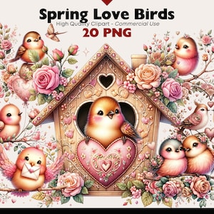 Liebe Vögel Clipart Bundle, Frühling Aquarell, niedlichen Valentinstag druckbare, Vögelchen Digital Download, Blumenvögel PNG, Vogelhaus Grafiken
