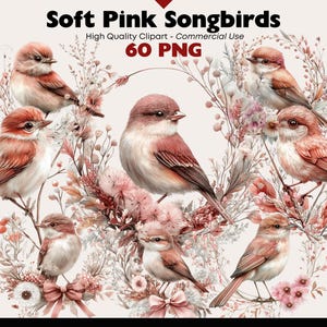 Pink Songbirds Clipart Bundle Spring Birds PNG Watercolor Graphics Floral Nature Scene Digital Download Wild Animals Commercial Use