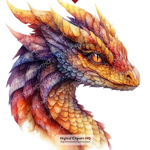 May include: Watercolor illustration of a dragon's head in profile. The dragon features a vibrant color palette of orange, yellow, red, and purple scales. The dragon has a detailed eye and a textured appearance. The image includes the text "Digital Clipart HQ digitalcliparthq.etsy.com".