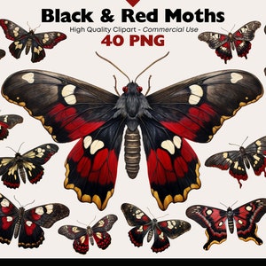 Zwarte en rode motten clipart, PNG Moth aquarel, Butterfly PNG, grillige Moth digitale stickers, Moth Ephemera, afdrukbare insecten downloaden
