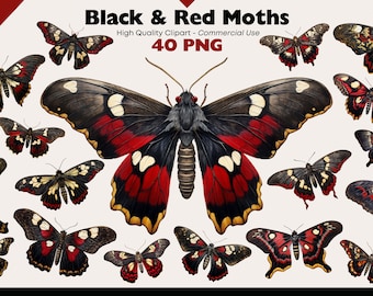 Black And Red Moths Clipart, PNG Moth Watercolor, Butterfly PNG, Whimsical Moth Digital Stickers, Moth Ephemera, Printable Insects Download