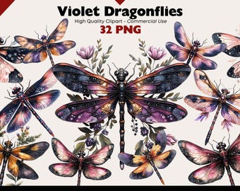Violet Dragonflies Clipart PNG Watercolor Insects, Purple and Gold Dragonfly Illustrations, Elegant Nature Clip Art Bundle Commercial Use