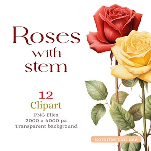 Roses with Stem Clipart - Watercolor Texture - PNG Transparent Background - Large Size 2000 x 4000 px - Commercial Use - Sandreen