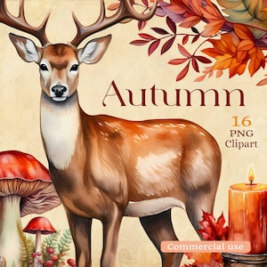 Cliparts d'Automne - Texture aquarelle - PNG Fond transparent - Grande taille 3000 px - Utilisation commerciale - Sandreen