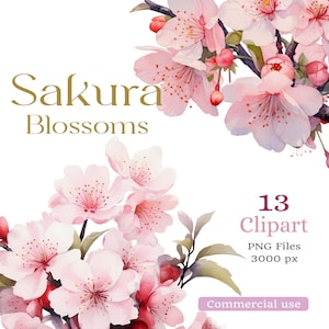 Cliparts de Fleurs et Branches de cerisier, Sakura Blossoms, Texture aquarelle, PNG Fond transparent, Grande taille 3000px, pour Cartes, DIY