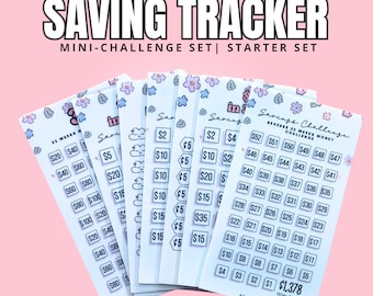 Mini Savings Challenge Set: Laminated Budget Trackers