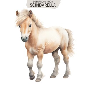 Könnte beinhalten: Eine Aquarellillustration eines hellbraunen und cremefarbenen Ponys mit fließender Mähne und Schweif. Das Pony hat dunkle Augen, ein graues Maul und graue Unterbeine. Der Text EIGENPRODUKTION SCINDARELLA steht oben und SCINDARELLA auf dem Körper.