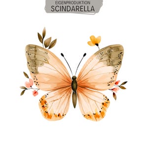 Könnte beinhalten: Eine Aquarellillustration eines Schmetterlings mit pfirsichfarbenen und braunen Flügeln, die dunkelbraune Flecken und Adern aufweisen. Der Schmetterling ist von kleinen braunen Blättern und winzigen orangefarbenen Blüten umgeben. Oben steht EIGENPRODUKTION SCINDARELLA.