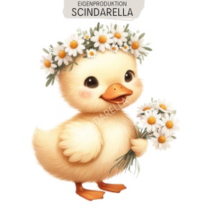 Könnte beinhalten: Ein flauschiges gelbes Entenküken mit einem Kranz aus weißen Gänseblümchen mit gelber Mitte, das einen kleinen Strauß passender Gänseblümchen im Flügel hält. Das Bild enthält den Text EIGENPRODUKTION SCINDARELLA oben und SCINDARELLA mittig.