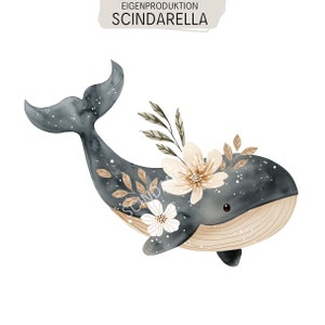 Könnte beinhalten: Eine Aquarellillustration eines dunkelgrauen Wals mit weißen Sprenkeln, einem beigen Bauch und floralen Akzenten in Creme- und Brauntönen auf dem Rücken. Der Text EIGENPRODUKTION SCINDARELLA befindet sich oben im Bild.