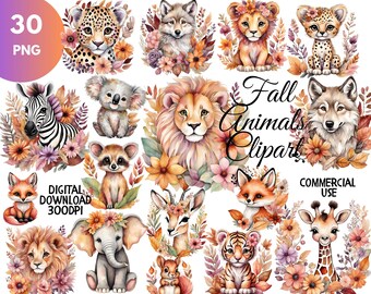 Animais coloridos de outono, clipart, animais de safári em aquarela, chá de bebê PNG, leão, tigre, elefante, coala, uso comercial PNG
