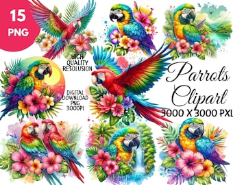 Clipart de papagaios em aquarela - 15 imagens PNG coloridas de pássaros, conjunto de clipart de pássaros tropicais em aquarela, pássaros exóticos coloridos, uso comercial