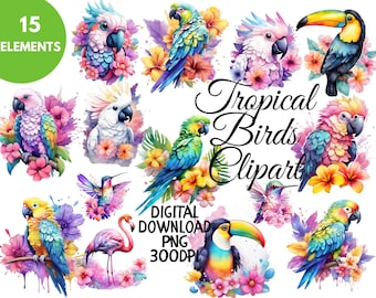 Clipart de pássaros tropicais em aquarela, gráficos PNG transparentes, clipart de flores e pássaros exóticos, ilustrações de pássaros, PNG para uso comercial, caneca