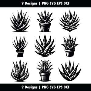 Aloe Vera Bundle, Aloe Vera Leaves, svg png eps dxf, Aloe Vera Silhouette Cricut, Vector Cut, Stencil Clipart, Commercial Use