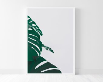 Monstera Deliciosa Minimalist Close-Up Photography, Botanical Print, Green Tropical Leaves Printable Wall Art, Digital Download