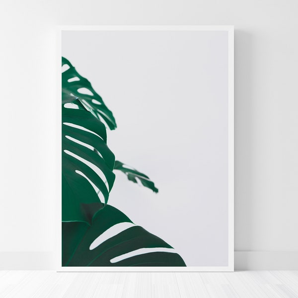 Monstera Deliciosa Minimalist Close-Up Photography, Botanical Print, Green Tropical Leaves Printable Wall Art, Digital Download