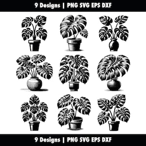 Monstera Deliciosa en una maceta, filodendro de hoja partida, svg png eps dxf, Silhouette Cricut, Vector Cut, Stencil Clipart, Uso comercial
