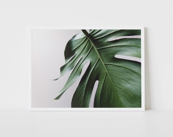 Monstera Deliciosa Minimalist Close-Up Photography, Horizontal Botanical Print, Green Tropical Leaves Printable Wall Art, Digital Download