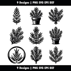 May include: Nine black and white illustrations of rosemary plants. Some are potted, some are sprigs, and some are in a circle.