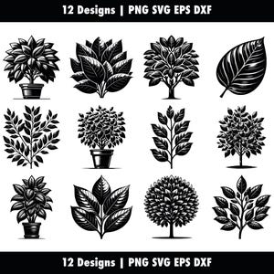 May include: Twelve black and white illustrations of different types of plants and trees. The illustrations are in a vintage style and feature detailed leaves and branches.