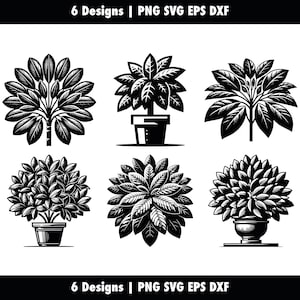 以下が含まれることがあります： 鉢植えの植物の白黒イラストが6つあります。植物はそれぞれ異なるスタイルで、丸いものもあれば、背が高く細いものもあります。イラストはヴィンテージスタイルです。