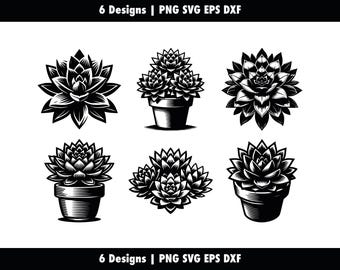 Echeveria Setosa Bundle, Miniature Echeveria, svg png eps dxf, Echeveria Leaf Silhouette Cricut, Vector Cut, Stencil Clipart, Commercial Use