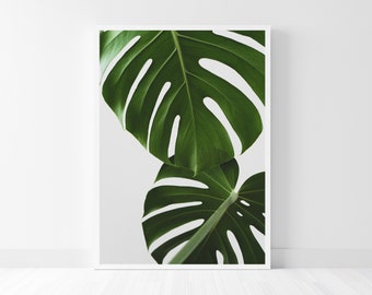 Monstera Deliciosa Minimalist Close-Up Photography, Macro Botanical Print, Green Tropical Leaves Printable Wall Art, Digital Download