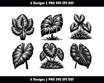Elephant Ear Plant Bundle, Colocasia Leaf, svg png eps dxf, Cocoyam Silhouette Cricut, Taro Vector Cut, Stencil Clipart, Commercial Use